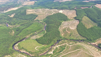 FOSDA - Lệ Thủy đón nhận chứng chỉ FSC